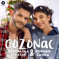 Cozonac (Single)