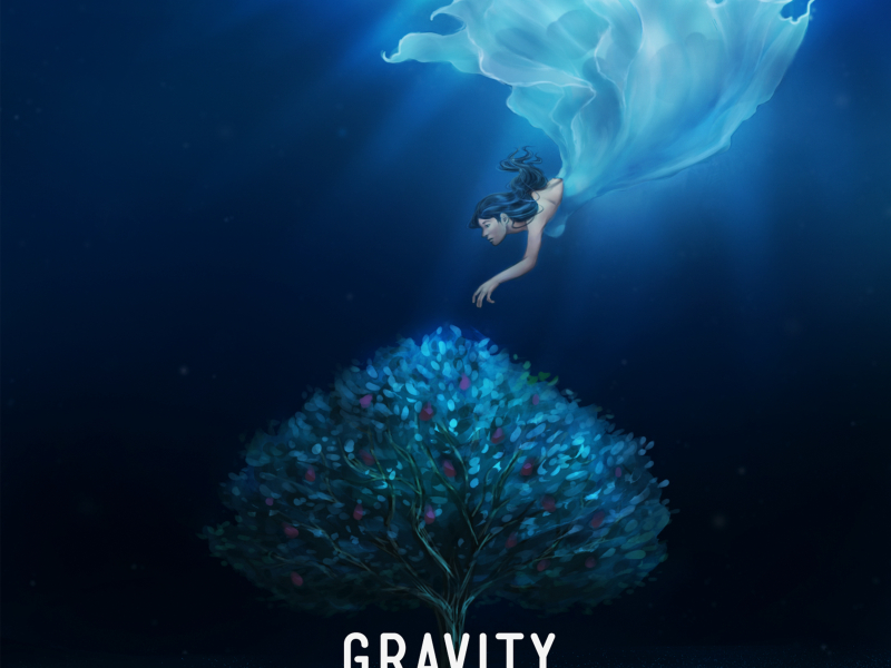 Gravity