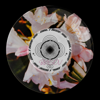 Girl I Need You (Single)