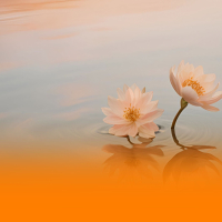 Healing Piano And Harp Melodies With Soothing Ambient Music And Gentle Sea Waves For Deep Relaxation (Single)