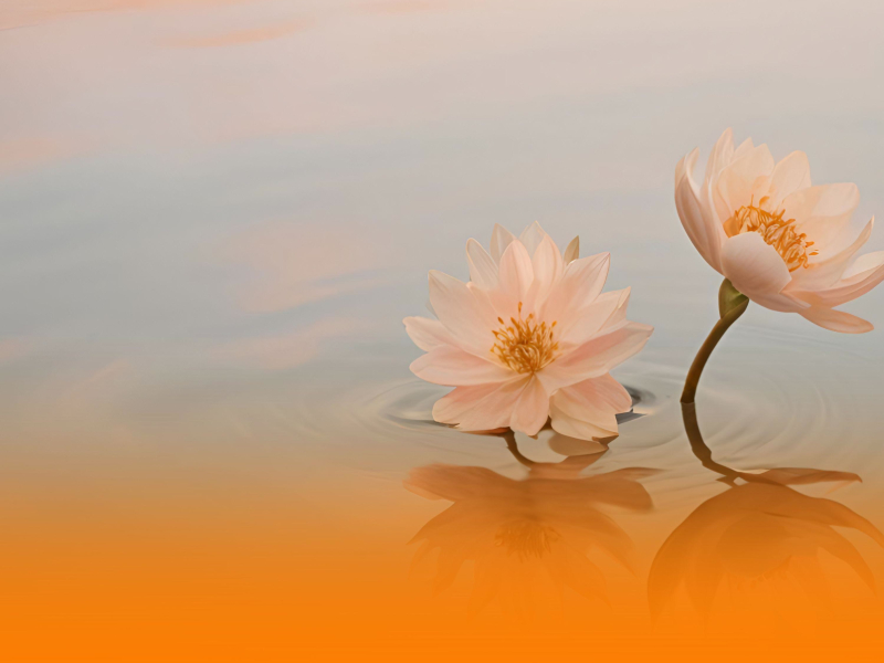 Healing Piano And Harp Melodies With Soothing Ambient Music And Gentle Sea Waves For Deep Relaxation (Single)