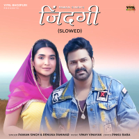 Zindagi (Slowed) (Single)