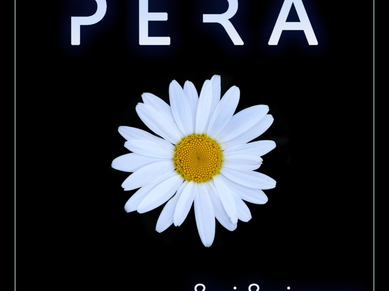 Seni Seviyorum (Single)