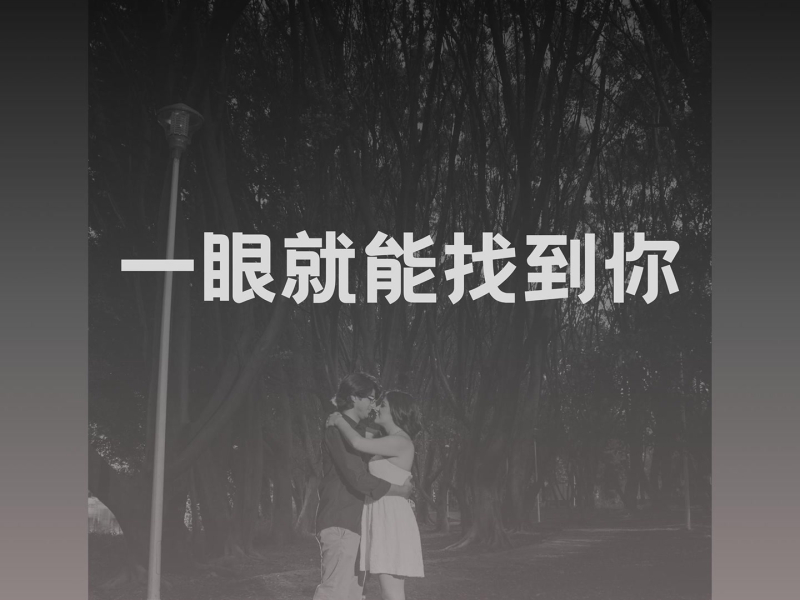 一眼就能找到你 (DJ版) (Single)