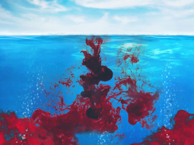 Blood In The Water