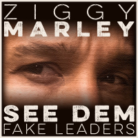 See Dem Fake Leaders (Single)