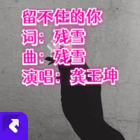 留不住的你(黄沙版) (Single)