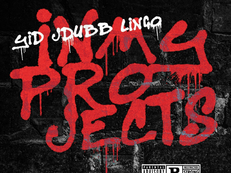 In My Projects (feat. J Dubb & Lingo)