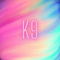 K9 (Single)