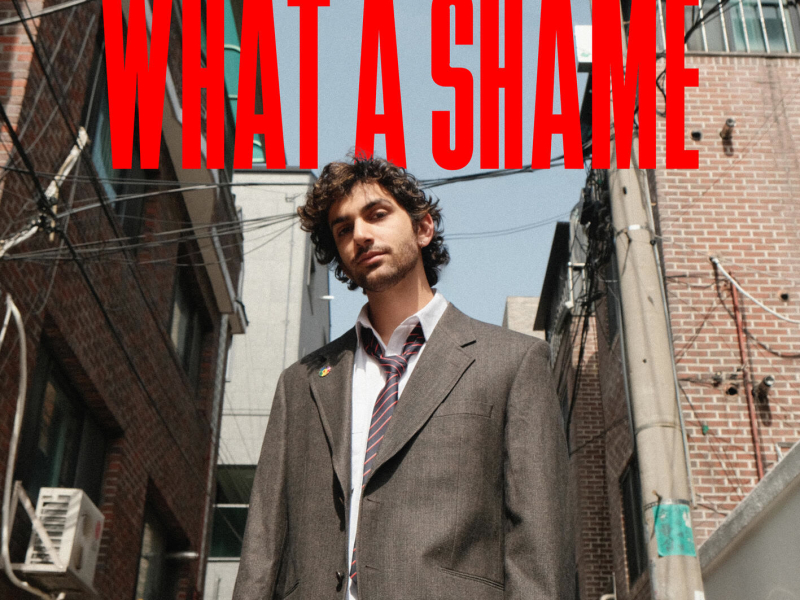What A Shame (Single)