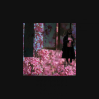 Di (feat. Odarka) (Single)