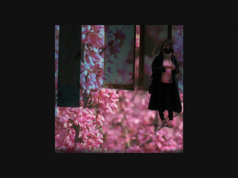 Di (feat. Odarka) (Single)