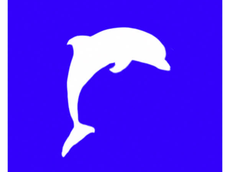 SOLO SOL VEO (Single)