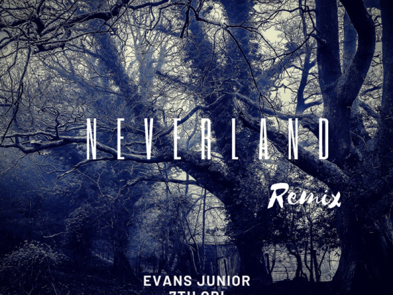 Neverland (Remix) (Single)