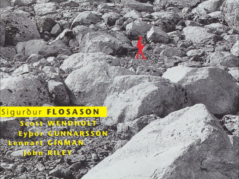 Gengið á hljóðið