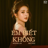 Em Biết Không (Houselak) (Single)