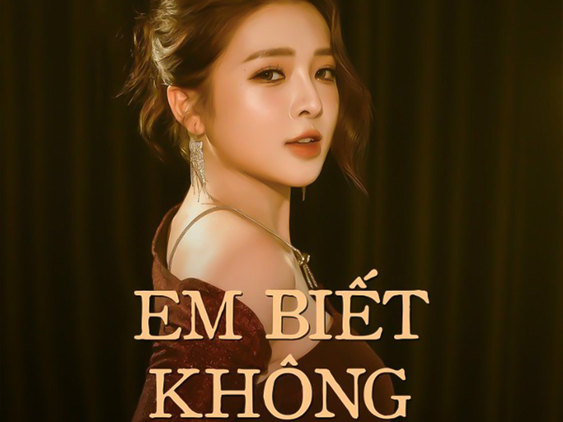 Em Biết Không (Houselak) (Single)