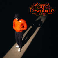 COMO DESCRIBIRLA? (Single)