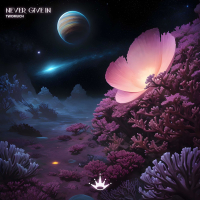 Never Give In (Single)