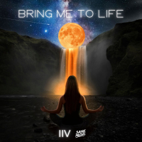 Bring Me To Life (Single)