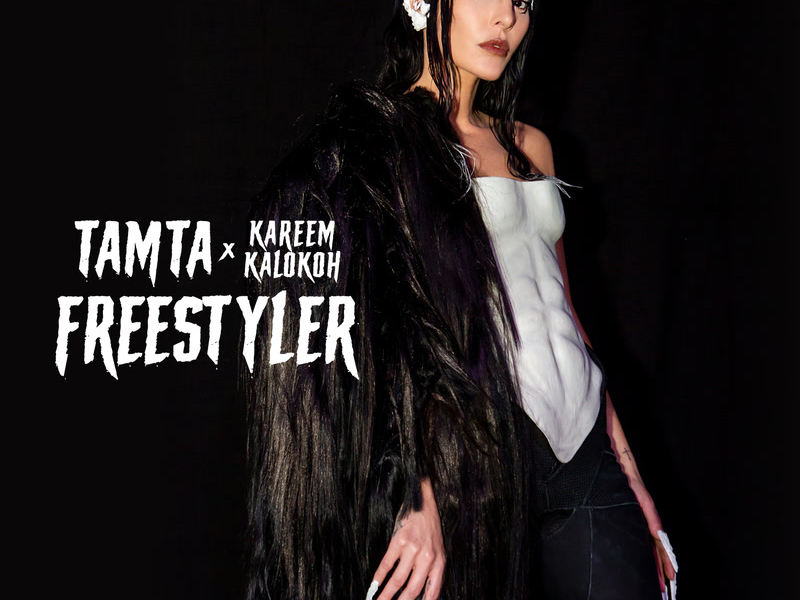 Freestyler (Single)