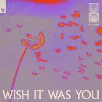 Wish It Was You (Single)