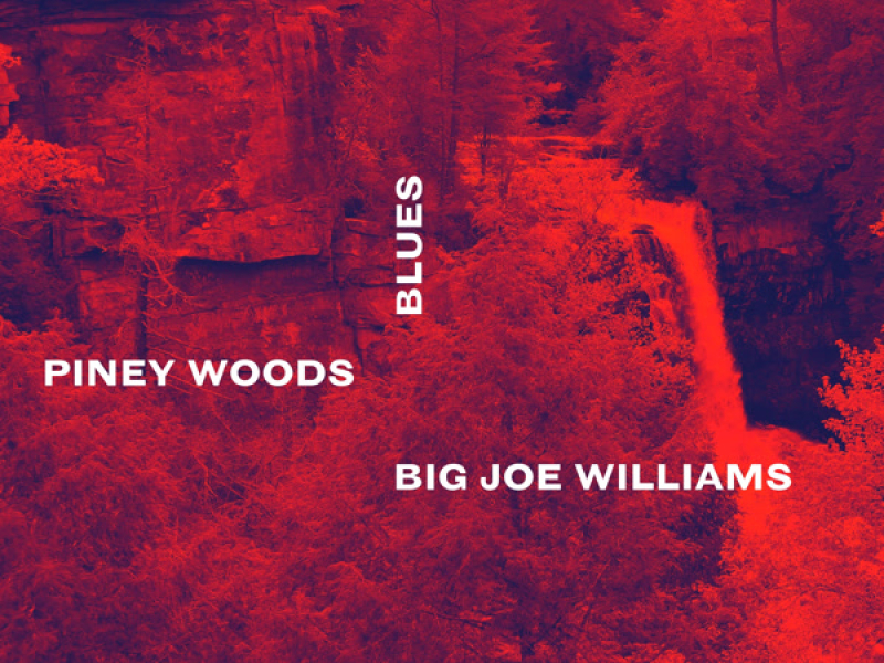 Piney Woods Blues
