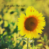 Like that sunshine (Single)