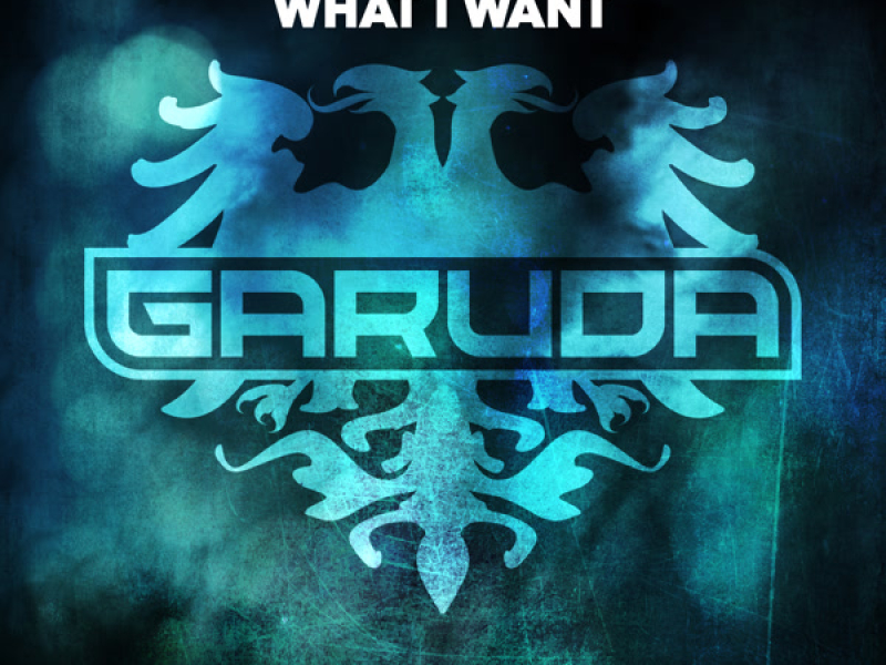 What I Want (Single)