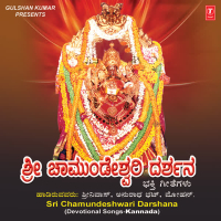 Sri Chamundeshwari Darshana