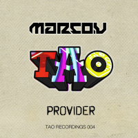 Provider (Single)