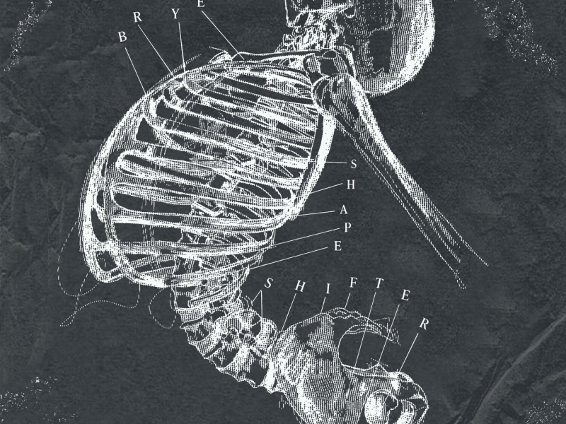 Shapeshifter (Single)