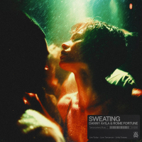 Sweating (Single)