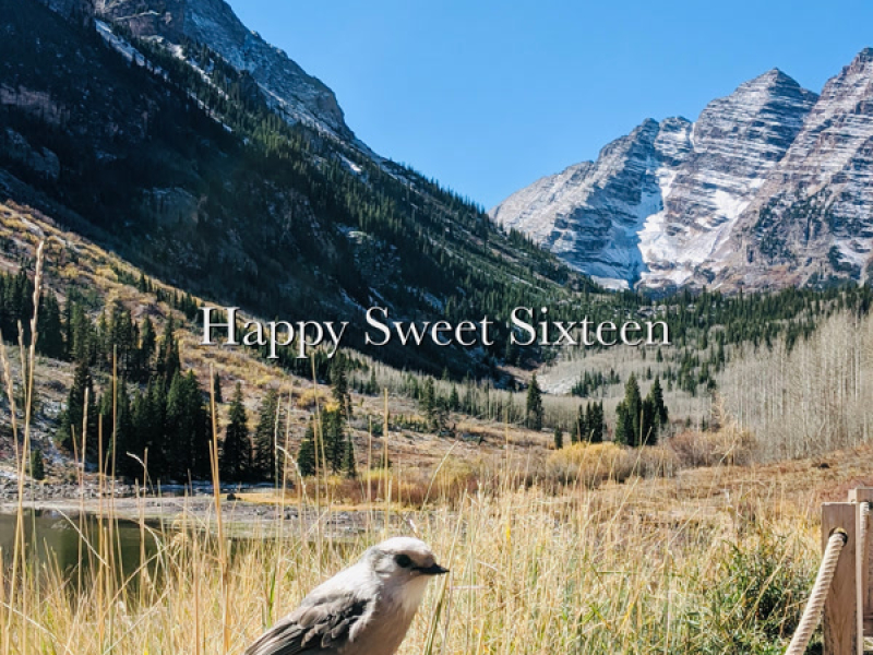 Happy Sweet Sixteen (Single)