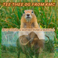 How Could a Gopher Rush a Buffalo (Single)