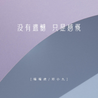 没有遗憾 只是感慨 (Single)