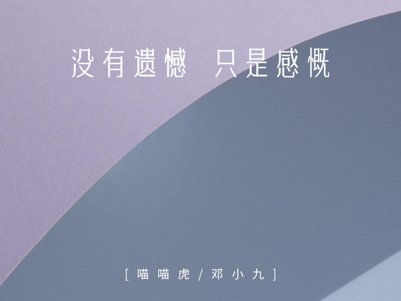 没有遗憾 只是感慨 (Single)