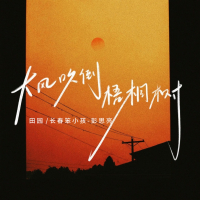 大风吹倒梧桐树 (迟三岁语录版) (Single)