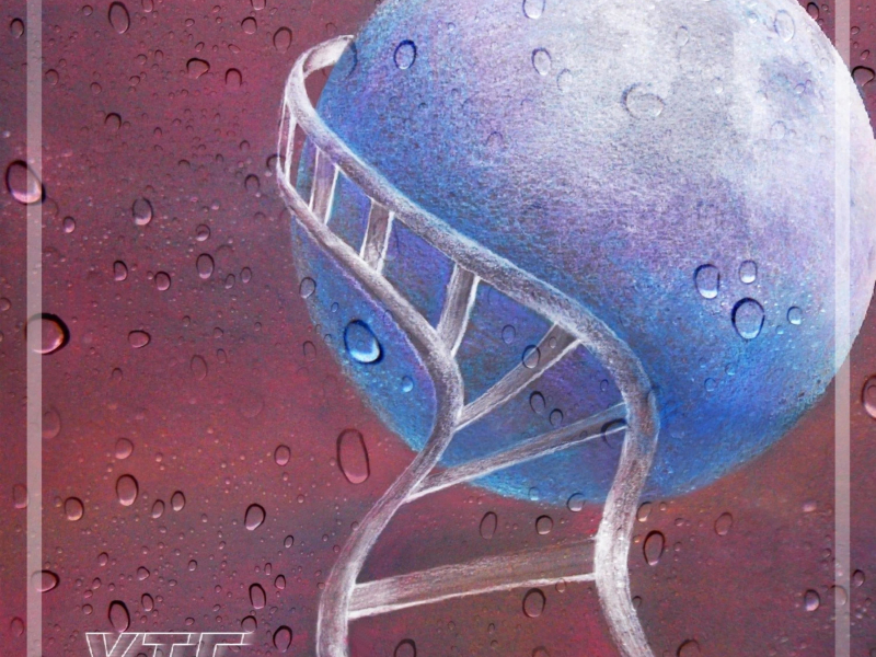 OUR LIFE BEYOND THE FABULOUS MOMENTS IS WRITTEN BY BLUE LETTER (Single)