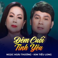 Đêm Cuối Tình Yêu (Single)