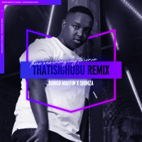 Thath'isigubhu (Shimza Remix) (Single)