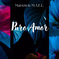 Puro Amor (Single)
