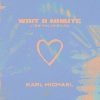 Wait a Minute (Live in the Vineyard) (Single)