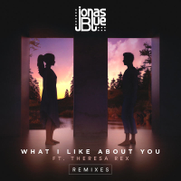 What I Like About You (Remixes) (Single)