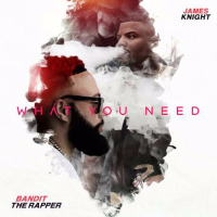 What You Need (Single)