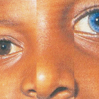 Shades of You (Single)