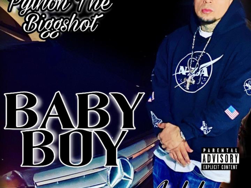 Baby Boy (feat. Ashley) (Single)