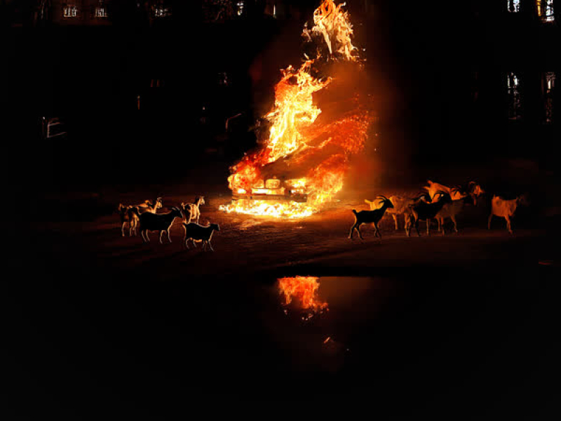 Thứ Sáu Đen (Single)