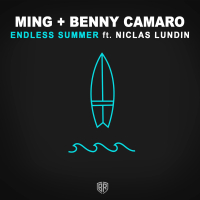 Endless Summer (Single)