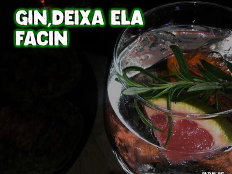 GIN DEIXA ELA FACIN (Single)